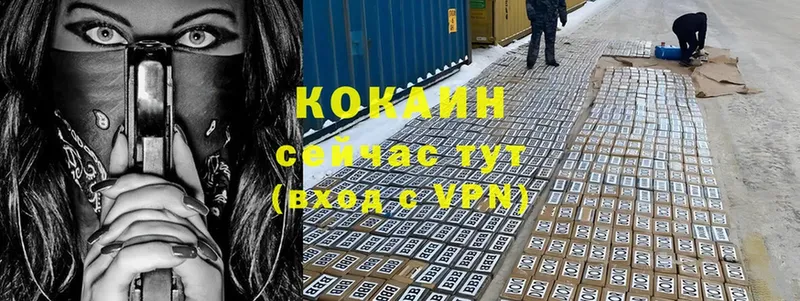 кракен tor  Волхов  КОКАИН 99% 